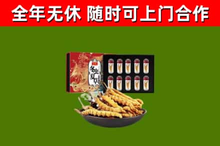 樊城区回收冬虫夏草价格