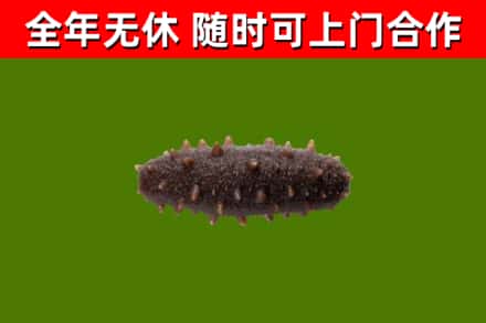 樊城区烟酒回收干海参.jpg